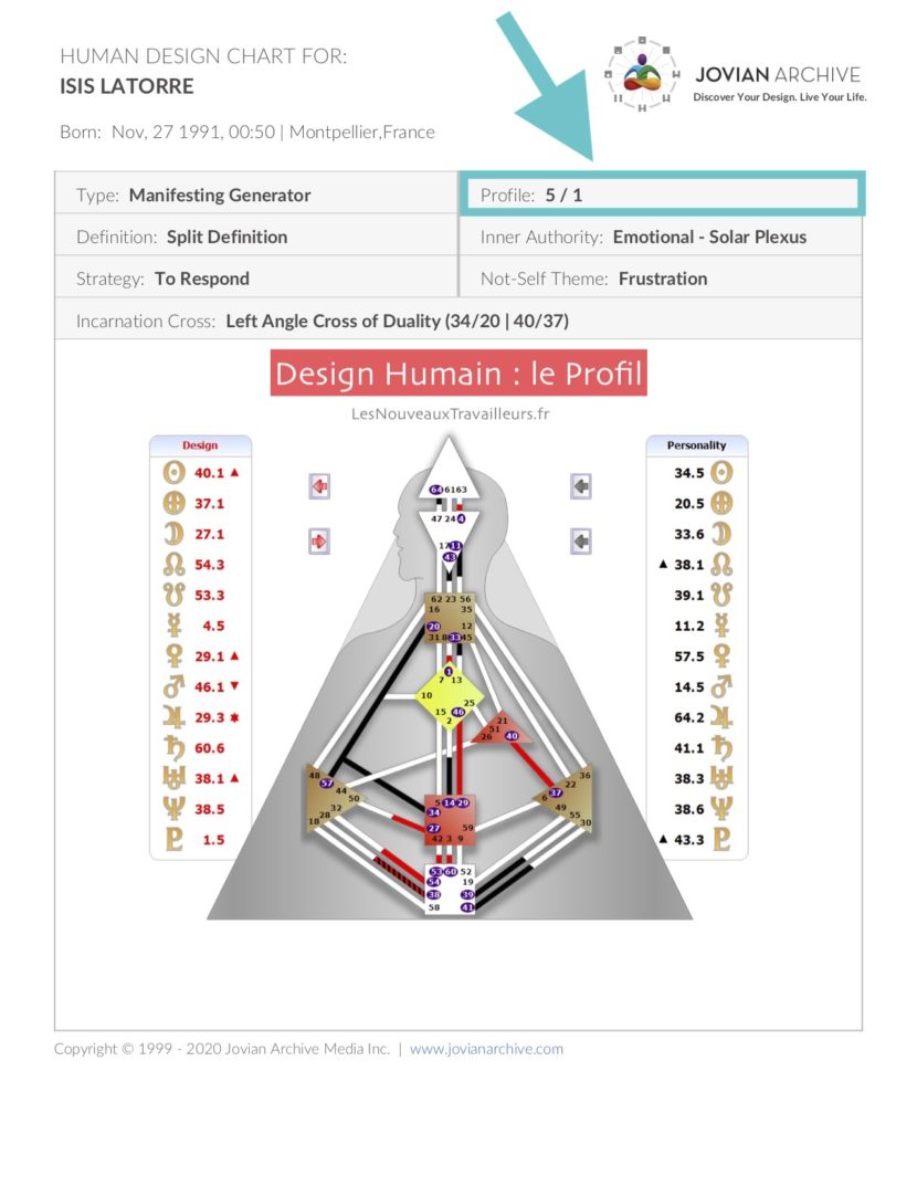 Profil Humain Comprendre sa Charte de Design Humain